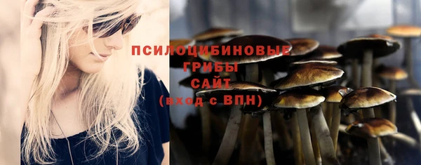 a pvp Краснотурьинск