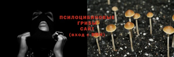 a pvp Краснотурьинск