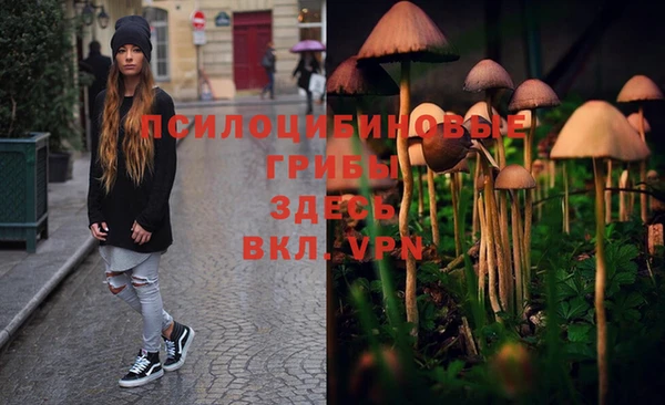 дживик Куйбышев